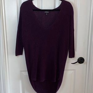 Express Purple Sparkle V-neck Sweater